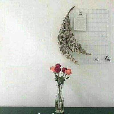澳门网上黄金城手机app下载