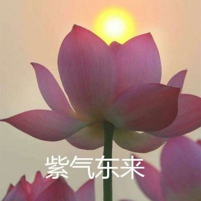 KU体育BET9注册