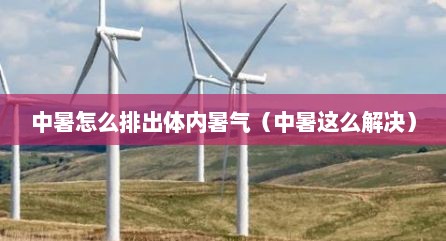 中暑怎么排出体内暑气（中暑这么解决）