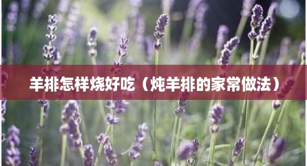 羊排怎样烧好吃（炖羊排的家常做法）