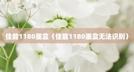 佳能1180墨盒（佳能1180墨盒无法识别）