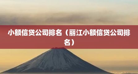 小额信贷公司排名（丽江小额信贷公司排名）