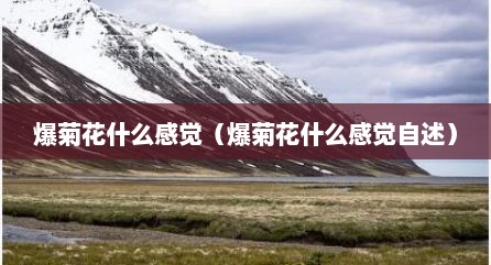 爆菊花什么感觉（爆菊花什么感觉自述）