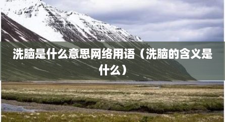 洗脑是什么意思网络用语（洗脑的含义是什么）