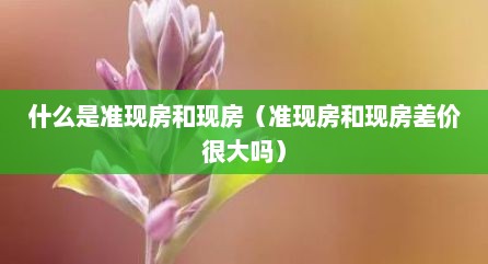 什么是准现房和现房（准现房和现房差价很大吗）