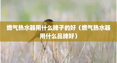 燃气热水器用什么牌子的好（燃气热水器用什么品牌好）