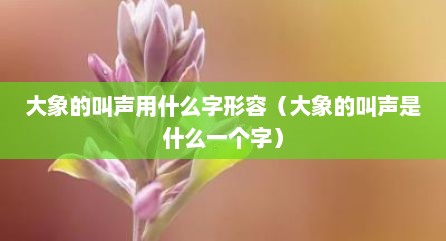 大象的叫声用什么字形容（大象的叫声是什么一个字）