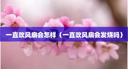 一直吹风扇会怎样（一直吹风扇会发烧吗）