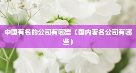 中国有名的公司有哪些（国内著名公司有哪些）