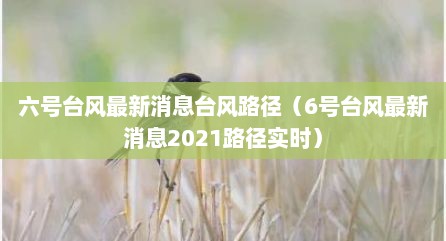 六号台风最新消息台风路径（6号台风最新消息2021路径实时）