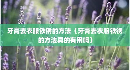 牙膏去衣服铁锈的方法（牙膏去衣服铁锈的方法真的有用吗）