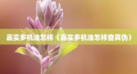嘉实多机油怎样（嘉实多机油怎样查真伪）