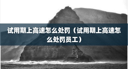 试用期上高速怎么处罚（试用期上高速怎么处罚员工）