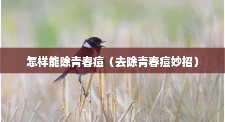 怎样能除青春痘（去除青春痘妙招）