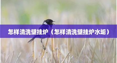 怎样清洗壁挂炉（怎样清洗壁挂炉水垢）