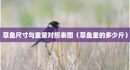 草鱼尺寸与重量对照表图（草鱼重的多少斤）