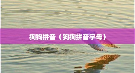 狗狗拼音（狗狗拼音字母）