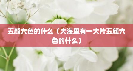 五颜六色的什么（大海里有一大片五颜六色的什么）