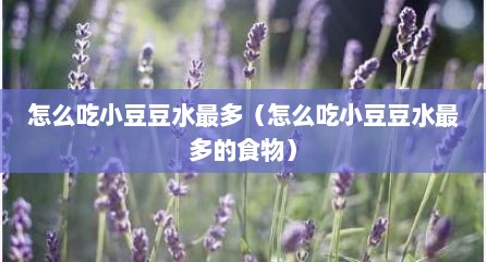怎么吃小豆豆水最多（怎么吃小豆豆水最多的食物）