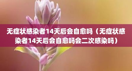 无症状感染者14天后会自愈吗（无症状感染者14天后会自愈吗会二次感染吗）