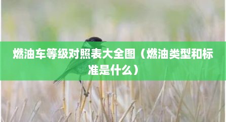 燃油车等级对照表大全图（燃油类型和标准是什么）