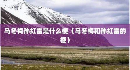 马冬梅孙红雷是什么梗（马冬梅和孙红雷的梗）