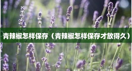 青辣椒怎样保存（青辣椒怎样保存才放得久）