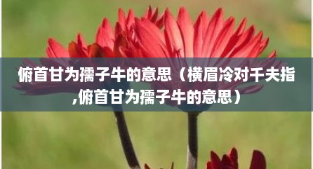 俯首甘为孺子牛的意思（横眉冷对千夫指,俯首甘为孺子牛的意思）