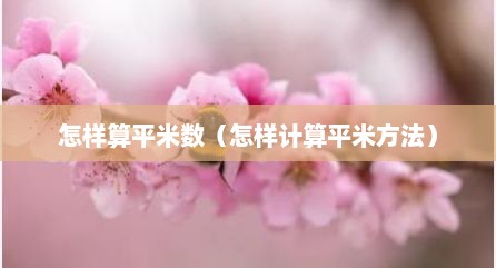 怎样算平米数（怎样计算平米方法）