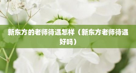 新东方的老师待遇怎样（新东方老师待遇好吗）