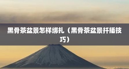 黑骨茶盆景怎样绑扎（黑骨茶盆景扦插技巧）