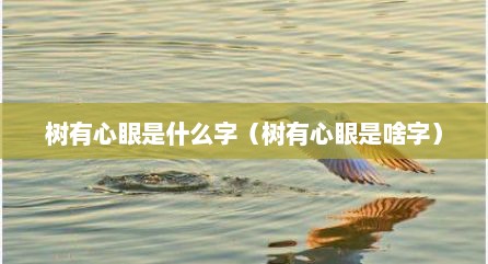 树有心眼是什么字（树有心眼是啥字）