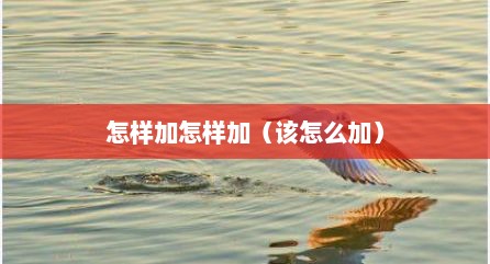怎样加怎样加（该怎么加）