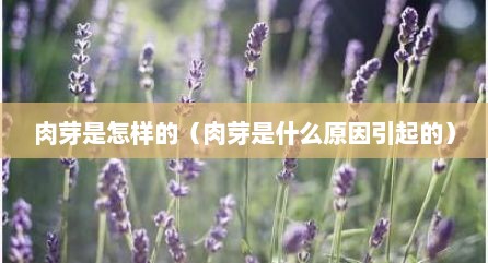 肉芽是怎样的（肉芽是什么原因引起的）