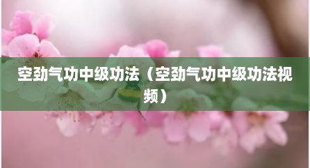 空劲气功中级功法（空劲气功中级功法视频）