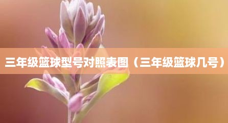 三年级篮球型号对照表图（三年级篮球几号）