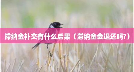 滞纳金补交有什么后果（滞纳金会退还吗?）