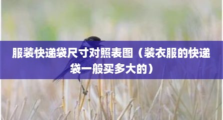 服装快递袋尺寸对照表图（装衣服的快递袋一般买多大的）