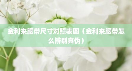 金利来腰带尺寸对照表图（金利来腰带怎么辨别真伪）