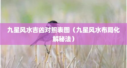 九星风水吉凶对照表图（九星风水布局化解秘法）