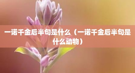一诺千金后半句是什么（一诺千金后半句是什么动物）