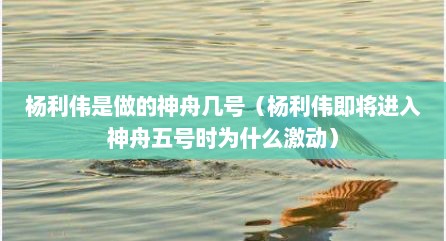 杨利伟是做的神舟几号（杨利伟即将进入神舟五号时为什么激动）