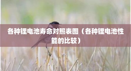 各种锂电池寿命对照表图（各种锂电池性能的比较）
