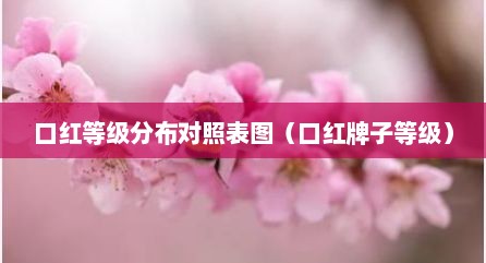 口红等级分布对照表图（口红牌子等级）