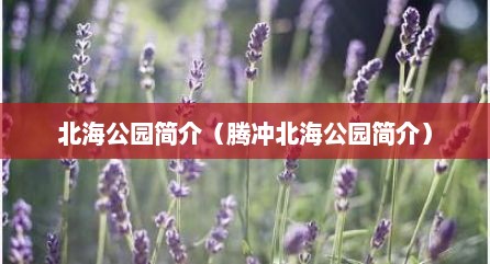 北海公园简介（腾冲北海公园简介）