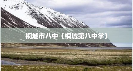 桐城市八中（桐城第八中学）
