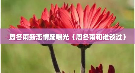 周冬雨新恋情疑曝光（周冬雨和谁谈过）