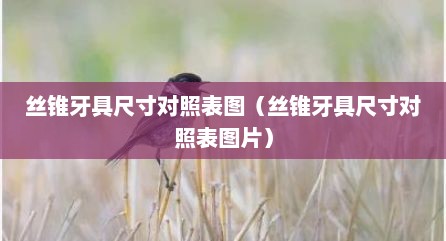 丝锥牙具尺寸对照表图（丝锥牙具尺寸对照表图片）
