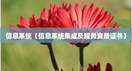 信息系统（信息系统集成及服务资质证书）