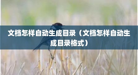 文档怎样自动生成目录（文档怎样自动生成目录格式）